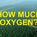 Amazon Rainforest - How Much Oxygen does it Provide
