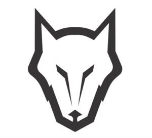 alpha steward