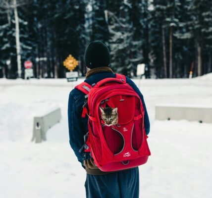 camping gear for adventure