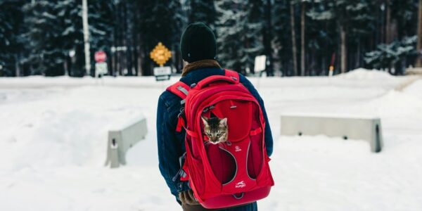 camping gear for adventure