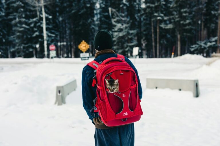 camping gear for adventure