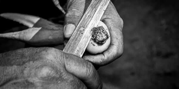 off grid homesteading backup tools