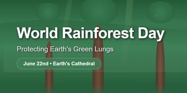 World Rainforest Day: Protecting Earth's Green Lungs