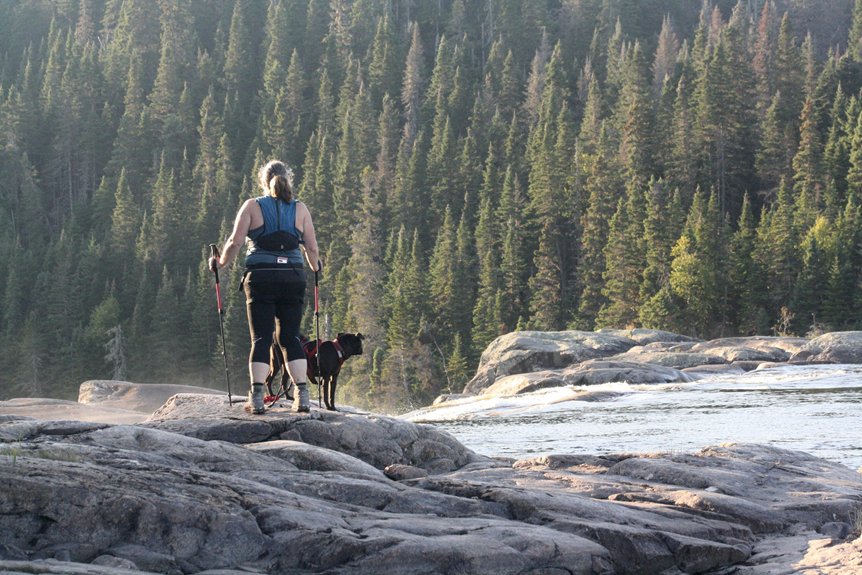 dog health certificate costs