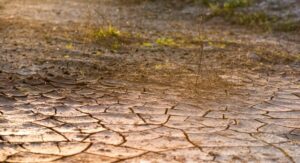 Climate Change as a Threat Multiplier: How Drought Amplifies Conflict Risk in Vulnerable Regions