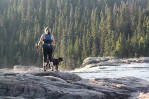 The EPA's Endangerment Finding Repeal: What It Means for America's Wildlife and Wild Places