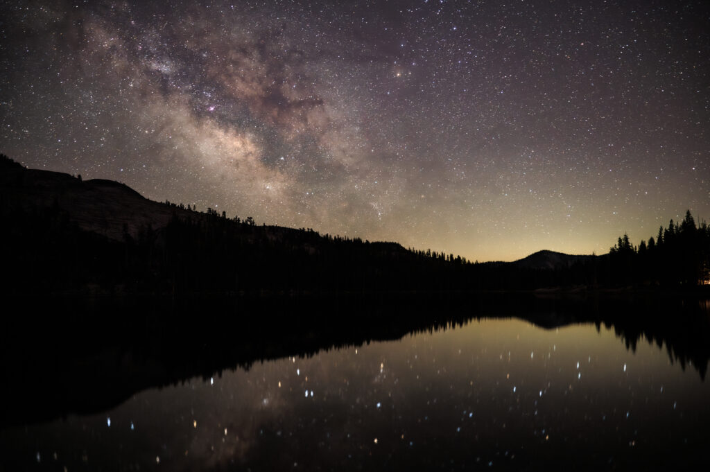 The Wilderness Enigma: Missing 411 Cases That Challenge Our Understanding