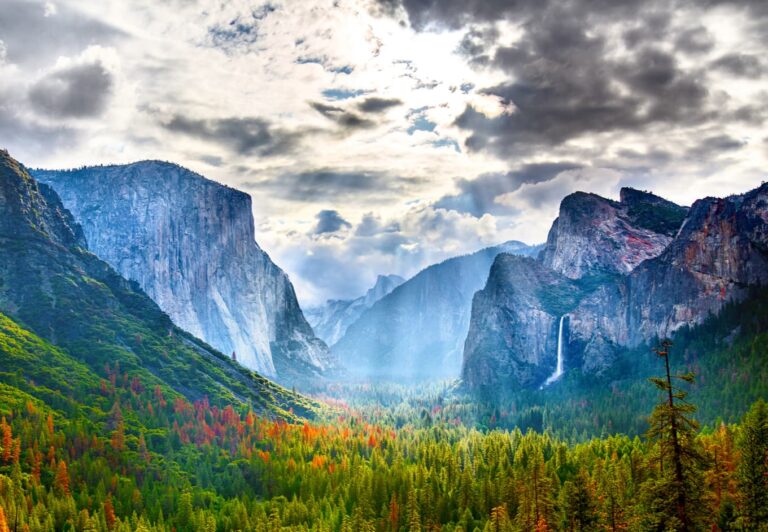 America's Natural Treasury: How Many National Parks Are There in the United States