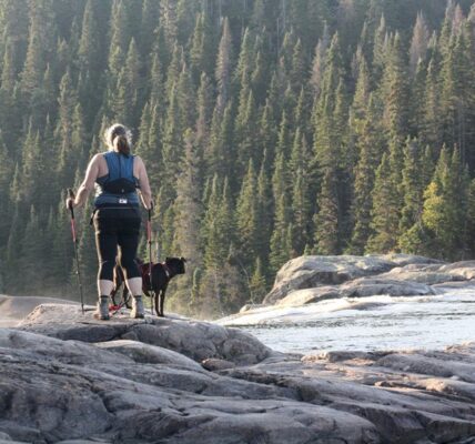 natural solutions for dogs