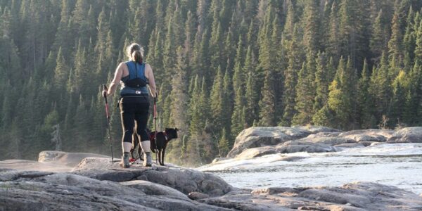 natural solutions for dogs