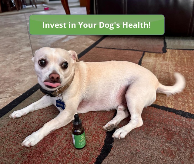 Pawbiotix Review: The Natural Solution to Boost Your Dog’s Health