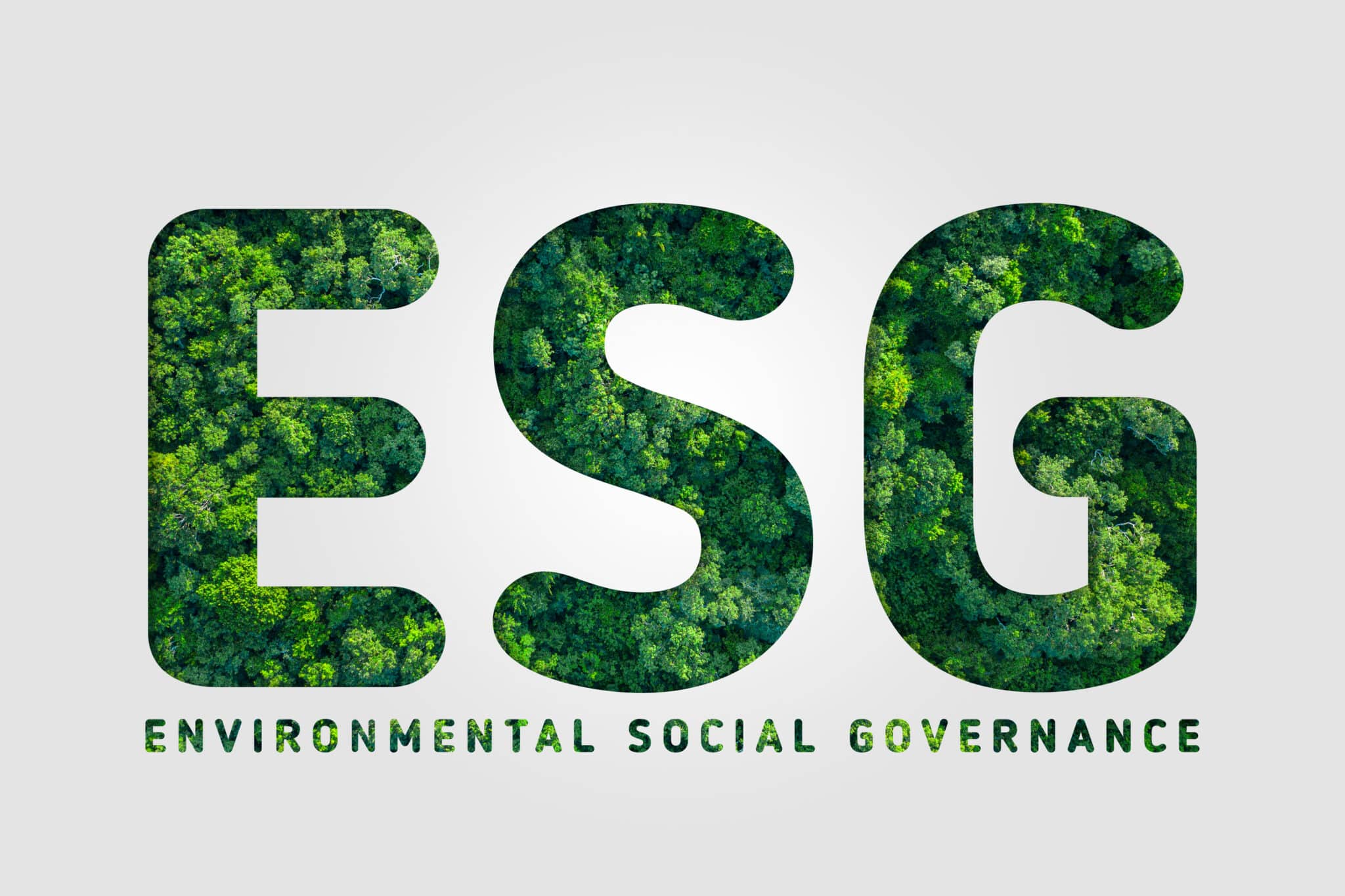 What is ESG? A Trail Guide to Environmental, Social, and Governance in Business