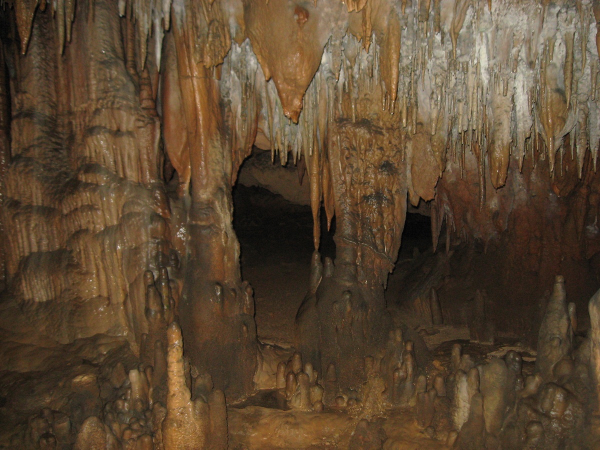Laurel Caverns State Park Guide: Tours, Tips & What to Expect