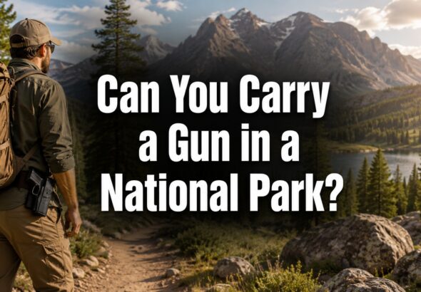 Can You Bring a Gun to a National Park?